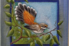 Rufous Fantail