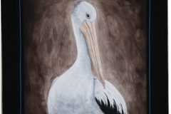 Pelican Portrait