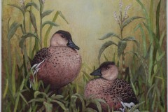 Waiting Quietly - Wandering Whistling Ducks (sold)