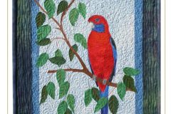 Crimson Rosella Pattern