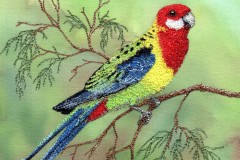 Eastern Rosella