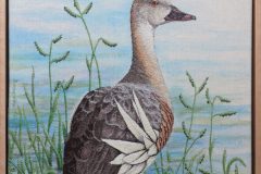 In the Flooded Field (Plumed whistling duck)