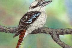 Laughing-Kookaburra-Watching