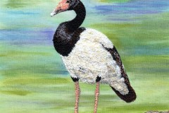 Magpie_Goose_Bernardine_Hine