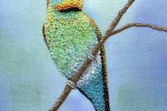Rainbow-Bee-Eater-4