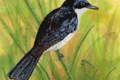 Shining-Flycatcher