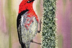 Scarlet Honeyeater 5" x 7"