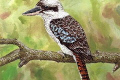 Kookaburra 2 7" x 7" SOLD