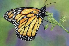 Morning_Monarch_Bernardine_Hine