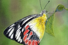 Scarlet_Jezebel_Bernardine_Hine