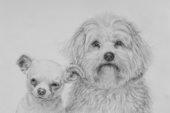 "Lexy and Izzy" pencil on paper, pet portrait commission
