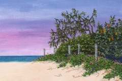 Beautiful-Beach-Day