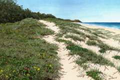 Dune-Meanderings