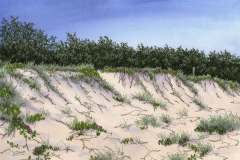 Kawana-Coastal-Dunes
