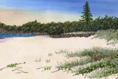Native-Moffat-Headland-Bernardine-Hine