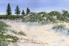 Shifting-Sands-Bernardine-Hine