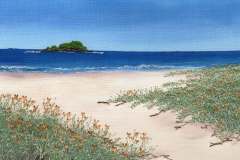 Towards-the-Briny