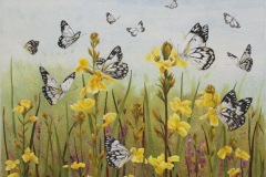 Capers in the Wallum (Sold)