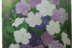 Brunfelsia