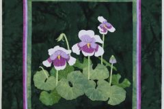 Sweet-Violets-scaled