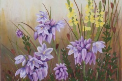 Wallum Flora