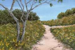 Wander in the Wallum