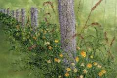 Dandelion-Fenceline