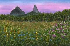 Glasshouse-Wilds