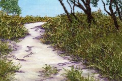 Mooloolah_Wallum_Track_Bernardine_Hine
