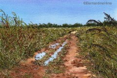 Reflected_Sky_Bernardine_Hine