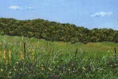 Roadside-Kenilworth