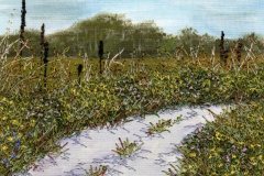 Wallum Walk 5, 5x7"