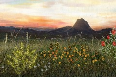 Wallum Sunset 5 x 17"