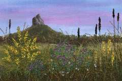 Wildflower-Delight