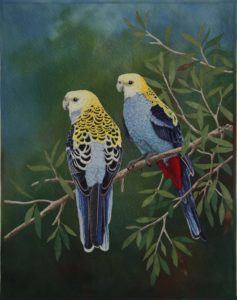 Holmes Realistic Australian Bird Art Prize
